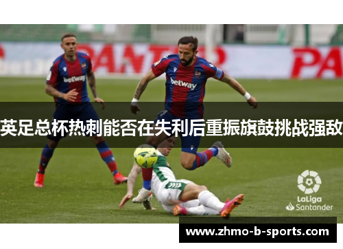 英足总杯热刺能否在失利后重振旗鼓挑战强敌