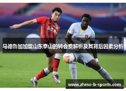 马德鲁加加盟山东泰山的转会费解析及其背后因素分析