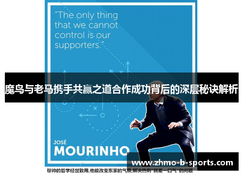 魔鸟与老马携手共赢之道合作成功背后的深层秘诀解析