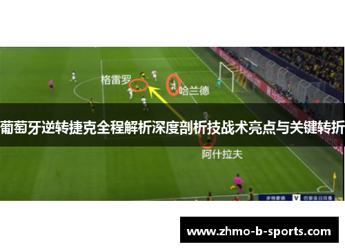 葡萄牙逆转捷克全程解析深度剖析技战术亮点与关键转折