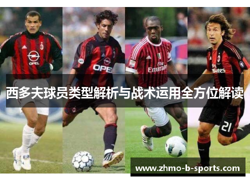 西多夫球员类型解析与战术运用全方位解读