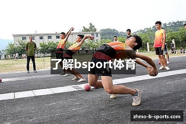 了解bsport体育